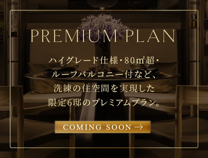 PREMIUM PLAN