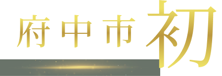 府中市 初