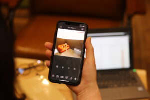 THEケネルズ東京ライブカメラ