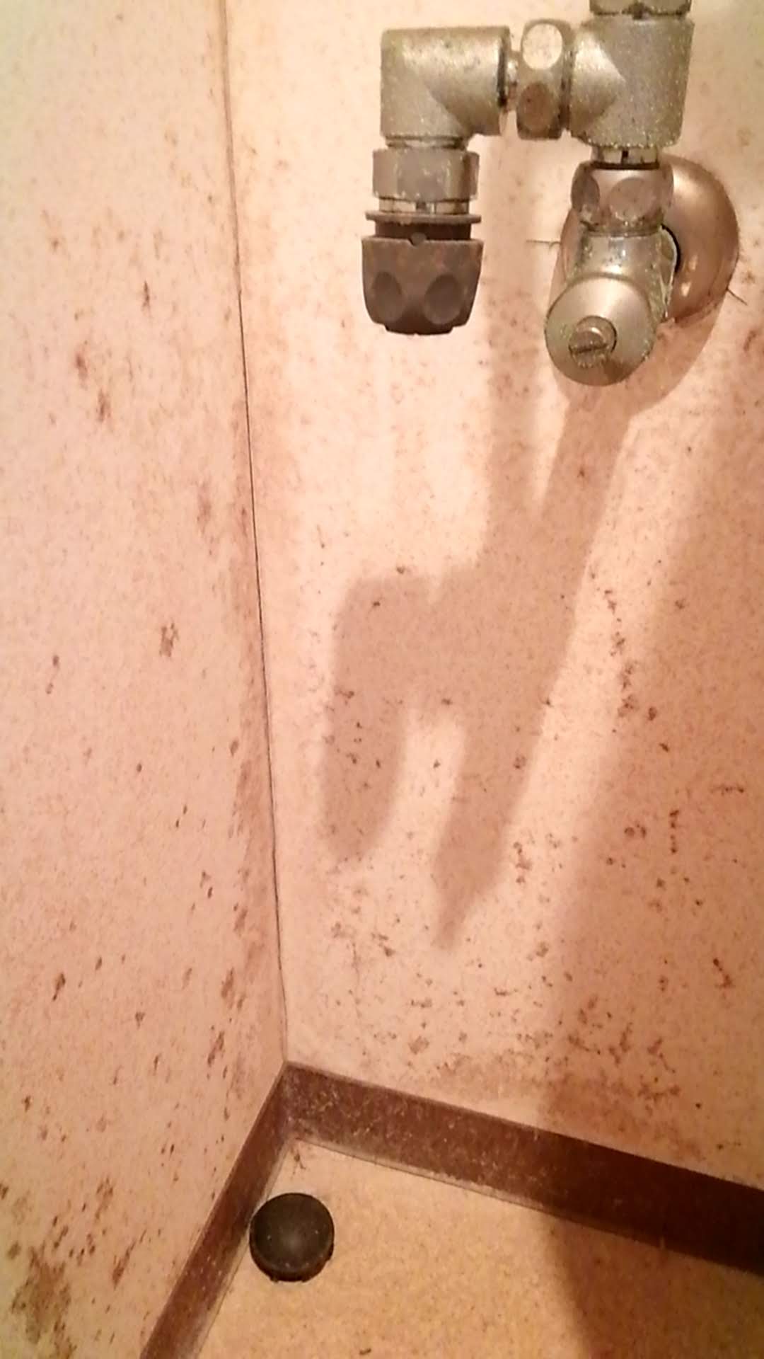 洗濯機置き場のカビ