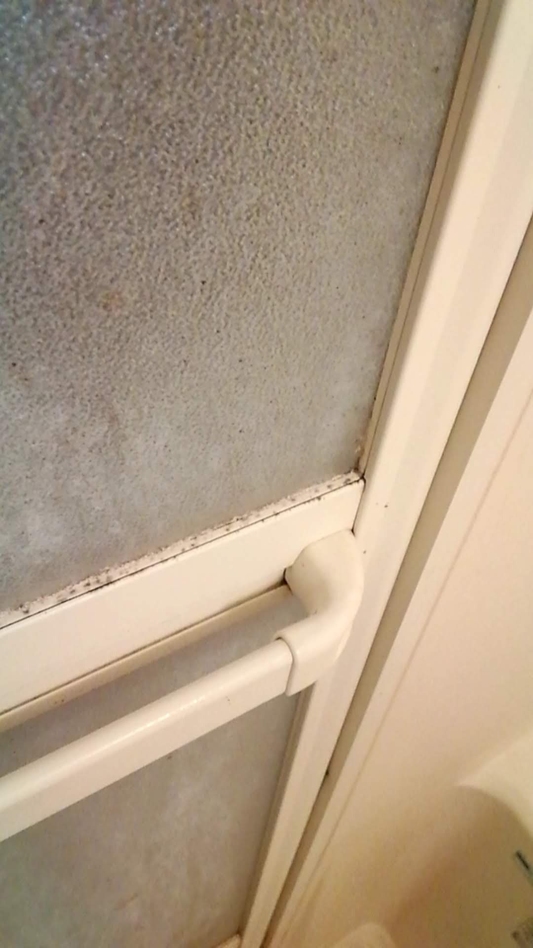 シーリング部分のカビ