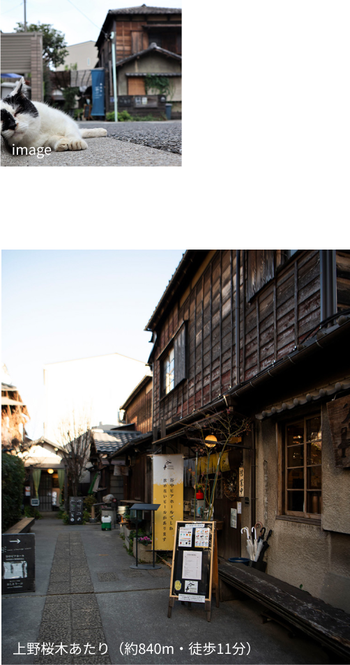 上野桜木あたり（約840m・徒歩11分）・image