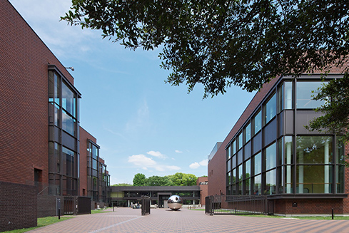 提供写真©東京都美術館